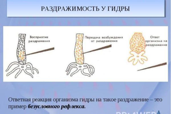 Как купить через кракен